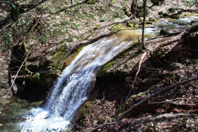 Прикрепленное изображение: DSC_0061_s.jpg